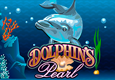 Dolphins