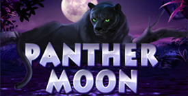 Panther Moon