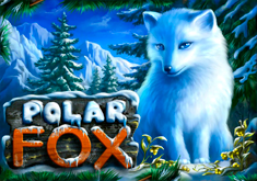 Polar FOX