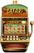Safari